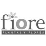 floreriafiore.com.mx